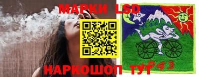 шишки Малоярославец