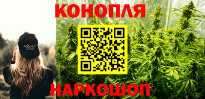 шишки Малоярославец