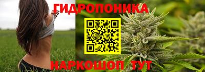 шишки Малоярославец