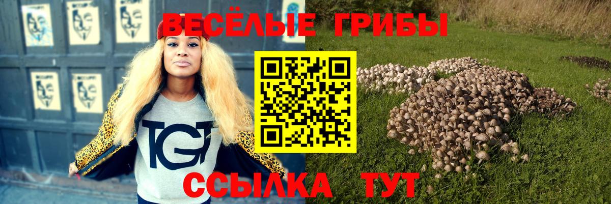 Дедовск  цены наркотик  Вход с VPN  Галлюциногенные грибы GOLDEN TEACHER 