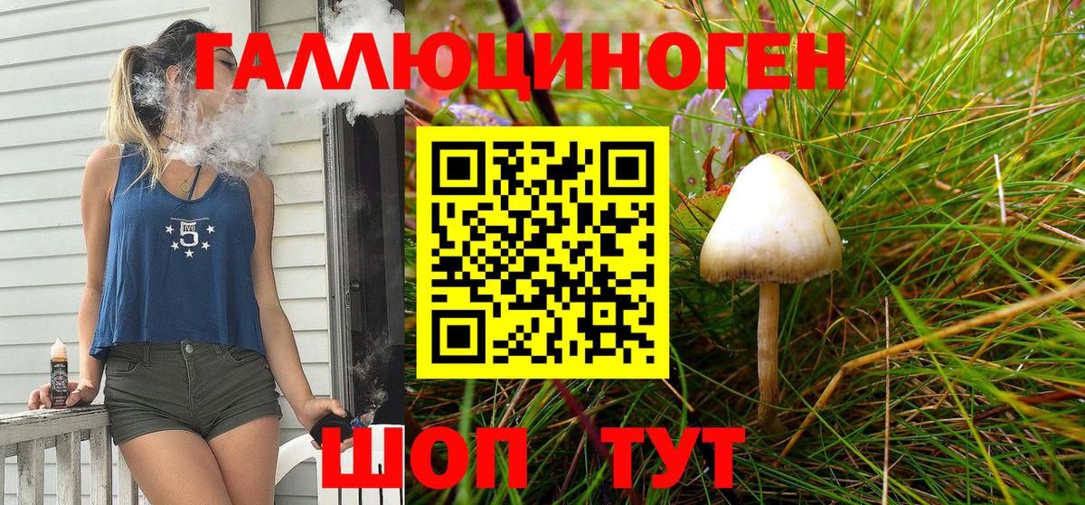 Галлюциногенные грибы Magic Shrooms Дедовск